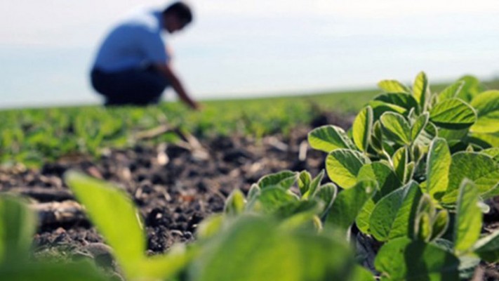 Ingenieros agrónomos y veterinarios celebran su día