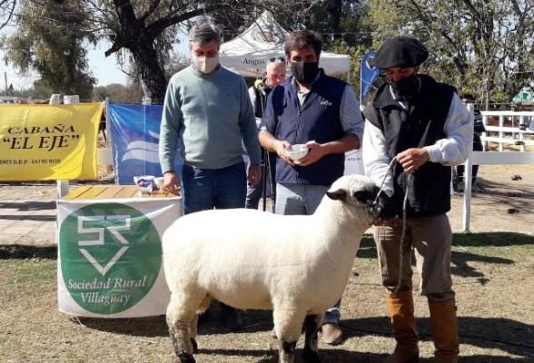 En Villaguay el Gran Campeón Hampshire Down fue vendido en 86.000 pesos