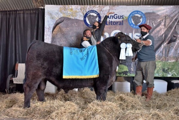 Bototí Picú, la gran ganadora de la jura de Angus en Federal