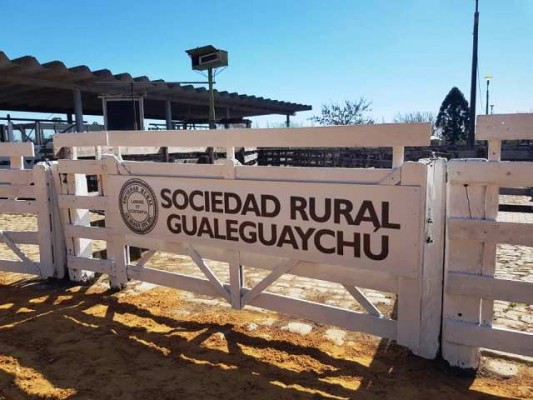 Eligen a los grandes campeones bovinos en la Exposición Ganadera de Gualeguaychú