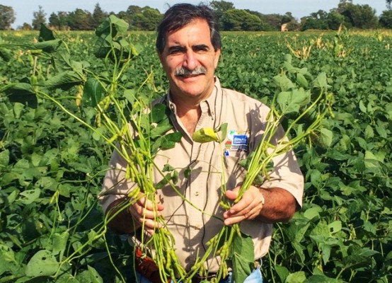 Fertilizar es un buen negocio