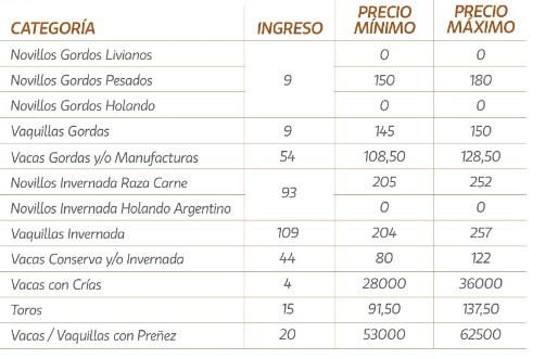 Plaza sostenida para la hacienda con destino a faena en la Sociedad Rural de La Paz