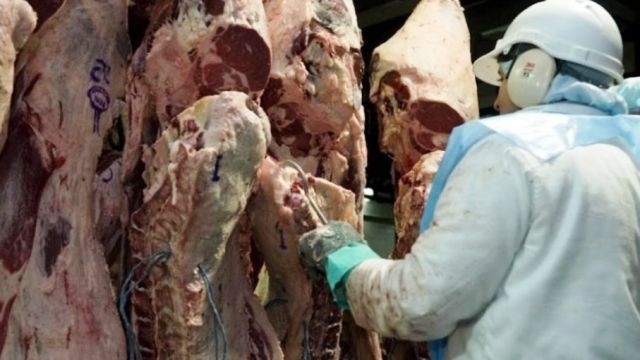 Bordet gestiona levantar el cepo a la exportación de carne vacuna