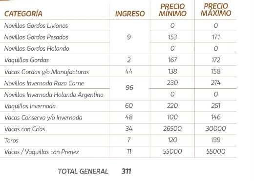 Plaza firme en La Paz