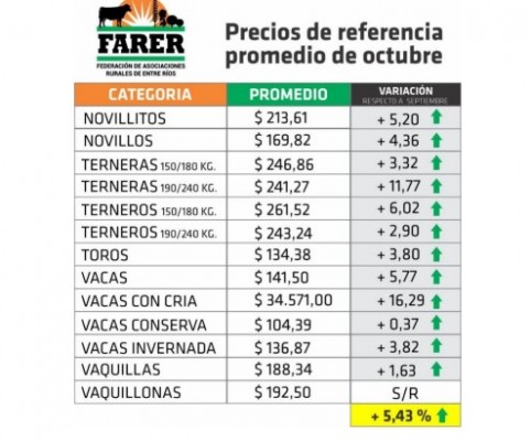 Octubre registró subas en todas las categorías vacunas en Entre Ríos