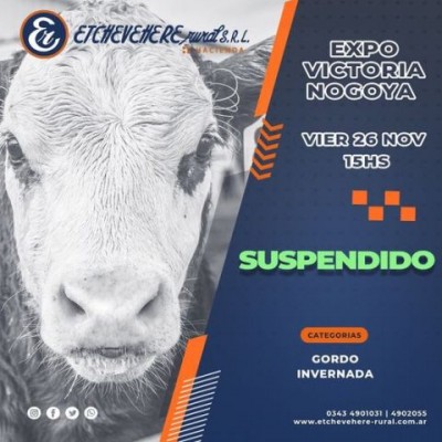 Expo Victoria - Nogoyá: las lluvias obligaron a suspender el remate de Etchevehere Rural