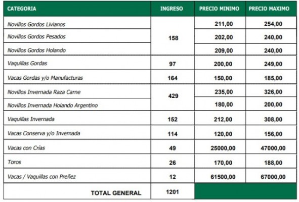 Plaza sostenida para la hacienda con destino a faena en Ramírez