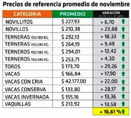 En noviembre los precios de la hacienda en pie aumentaron 16,61% en Entre Ríos