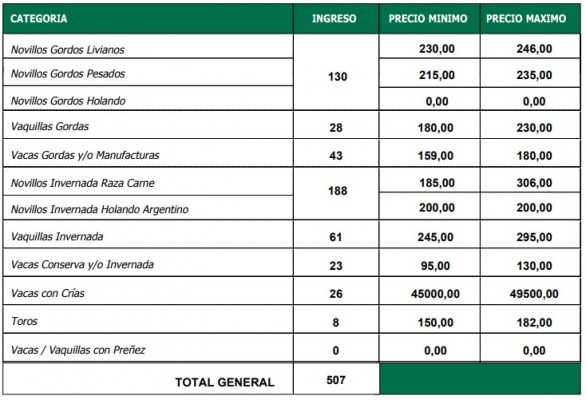 Precios sostenidos para la hacienda gorda en Villa Elisa