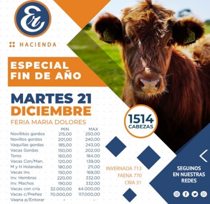 Ventas ágiles y precios sostenidos en el Remate Especial Fin de Año de Etchevehere Rural