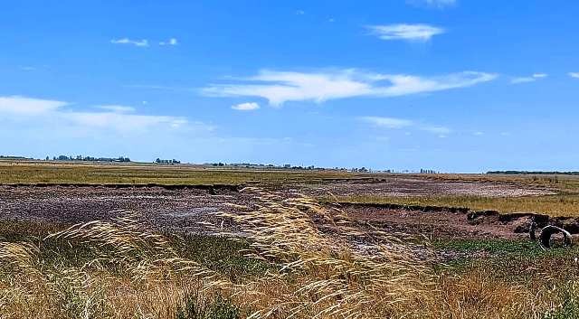 La FAA cuestionó por obsoleto el fondo de emergencia agropecuaria