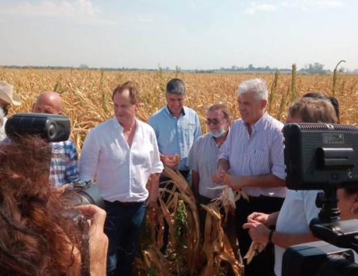 Domínguez recorrió lotes devastados por la sequía en Lucas González