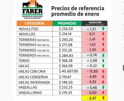 La sequía arrastró a la hacienda en pie cuyos precios retrocedieron 2,57 % en enero