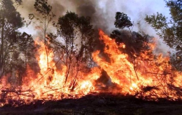 Piden a los Estados nacional y provinciales que atiendan la situación desesperante de los incendios