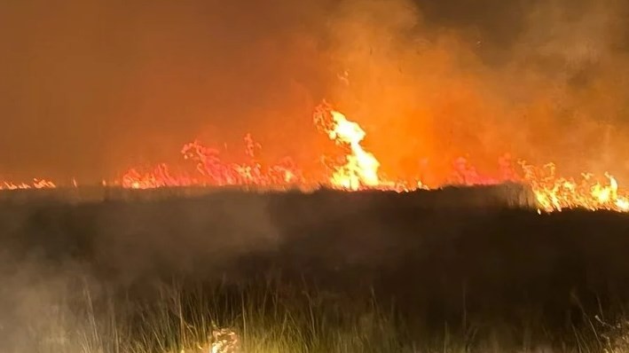 Datos alarmantes que ponen en jaque a Corrientes