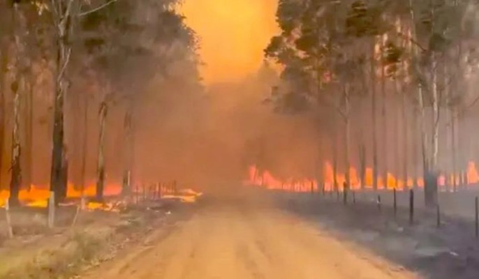 Que el humo no tape lo que verdaderamente importa