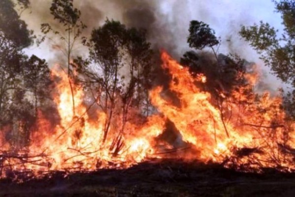 Fadia considera indispensable crear un sistema de alertas tempranas ambientales