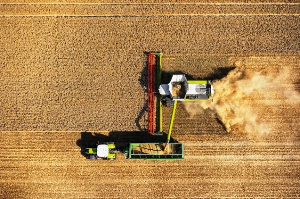 Lexion 8000-7000 y Jaguar 900, las estrellas de Claas en Expoagro 2022