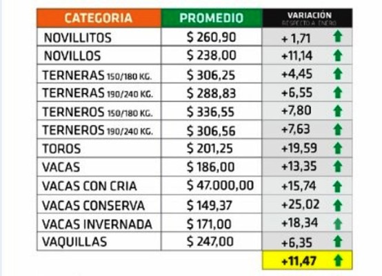 Los precios del ganado en pie en Entre Ríos subieron 11,47% en febrero