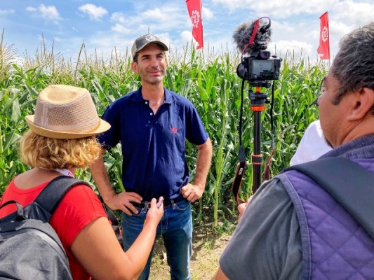 Limagrain suma variedades en todos los cultivos