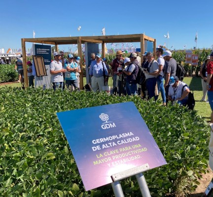 Ciencia, portfolio y valor agregado detrás de cada cultivo, los pilares de Don Mario