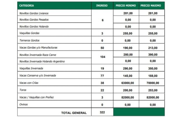 Plaza firme en La Paz