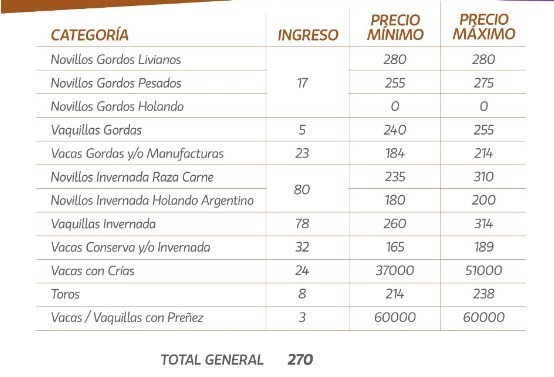 Precios sostenidos para la hacienda con destino a faena en Villa Elisa