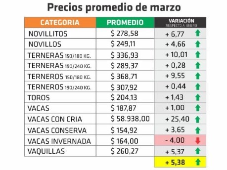 Marzo dejó una suba promedio del 5,38% en los valores del ganado en Entre Ríos