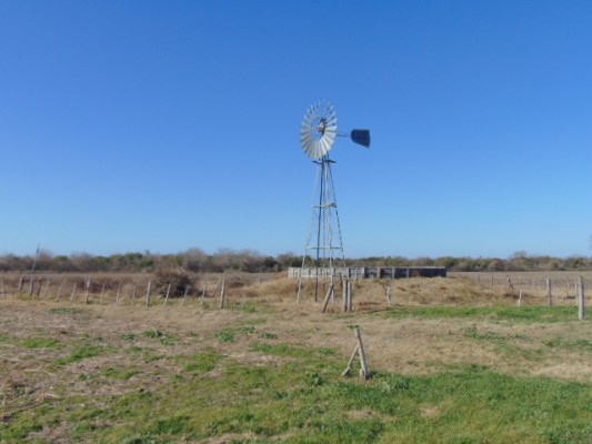 La ATER postergó el vencimiento del Inmobiliario Rural y Subrural