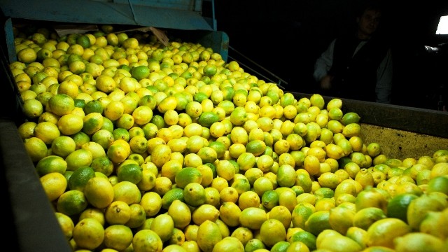 Certificación fitosanitaria electrónica en el comercio de vegetales con la UE