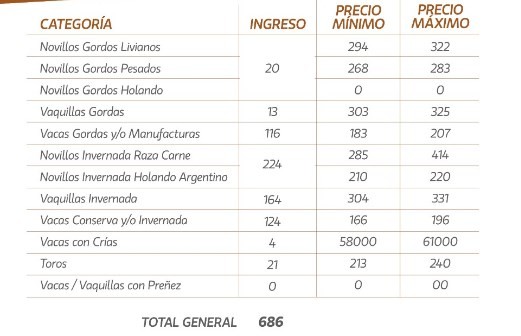 Plaza sostenida para la hacienda con destino a faena en María Grande