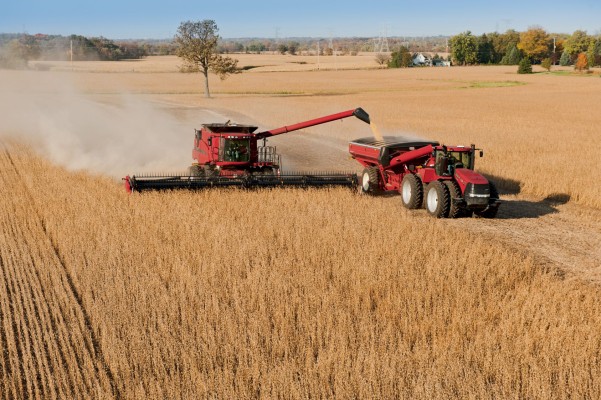 La producción entrerriana de soja aumentará alrededor del 35%