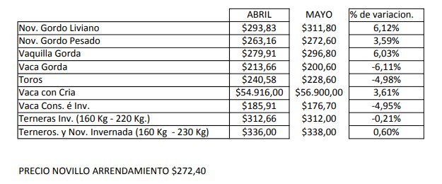 Valores positivos para la mayoría de las categorías de hacienda para faena en mayo