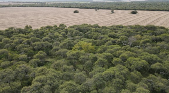 Educación ambiental en un área natural protegida