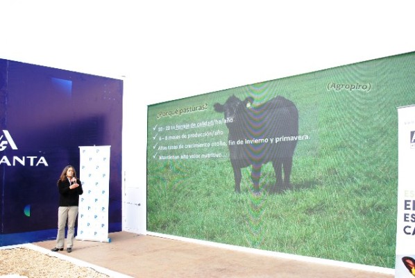 En Acción Ganadera dieron las claves para la correcta fertilización de pasturas y verdeos