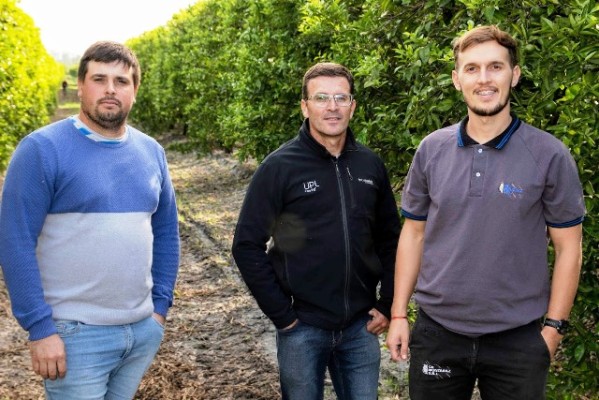 Cómo potenciar calidad y rindes en una finca citrícola