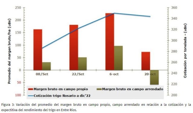 El impacto del clima en el posible resultado económico del trigo