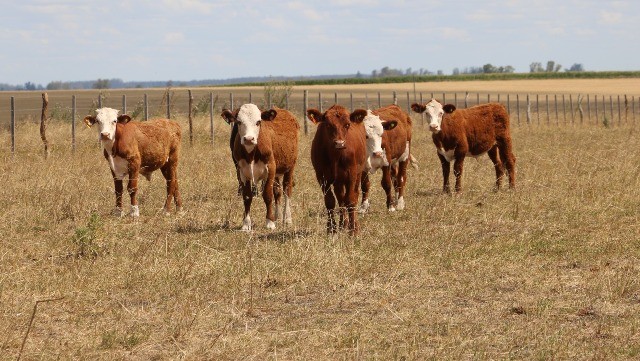 Productores cooperativos esperan respuestas frente a un escenario complejo