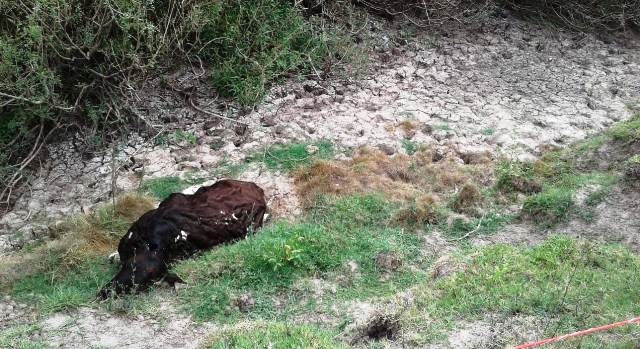 Está abierto el registro para productores alcanzados por la emergencia agropecuaria