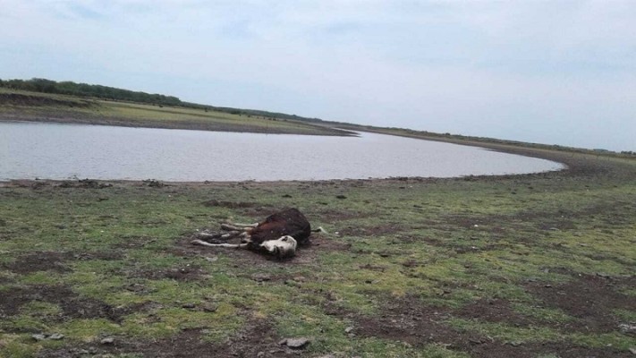 Las lluvias trajeron un poco de alivio, pero la situación sigue siendo límite