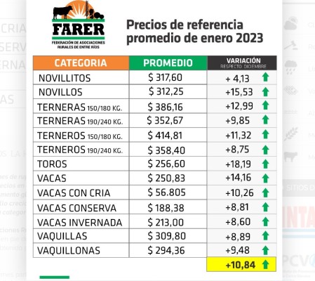 Los precios de la hacienda en pie comenzaron a recuperar terreno