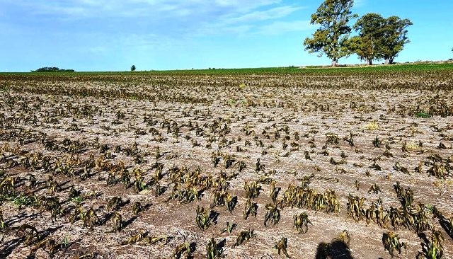 Los federados llevan sus demandas a Buenos Aires