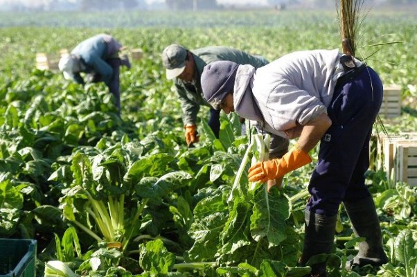 Renatre inscribirá de oficio a trabajadores y empleadores que estén registrados en AFIP