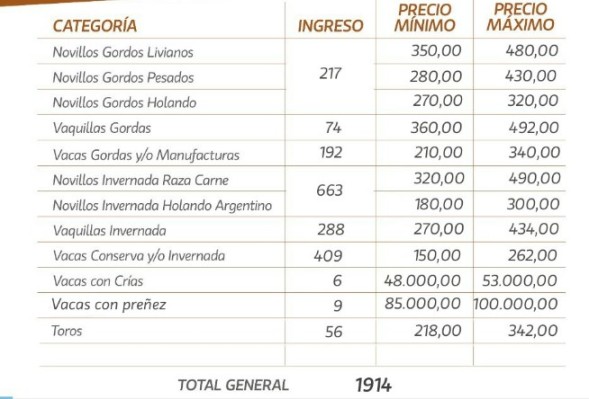 Plaza sostenida en el remate de La Ganadera en Ramírez