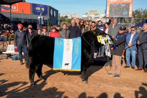 El Gran Campeón Macho de la raza Angus fue para Arandú