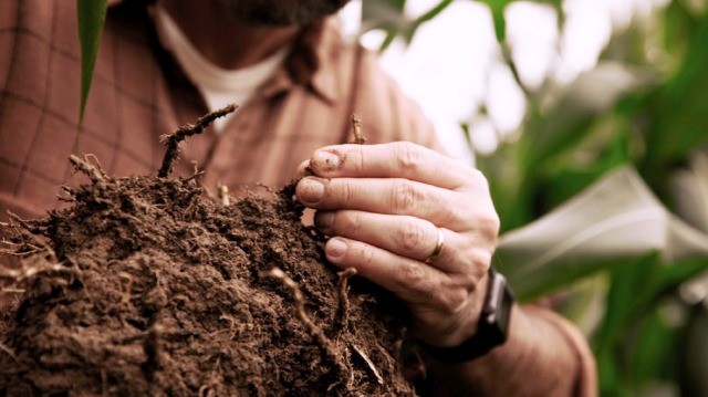 Bayer presentará su enfoque en Sustentabilidad y Huella de Carbono