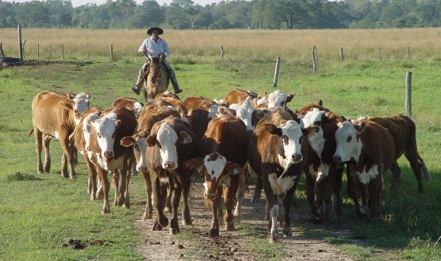 Aumento de salarios para los trabajadores rurales