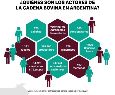 ¿Cuánto más podría generar la cadena bovina?