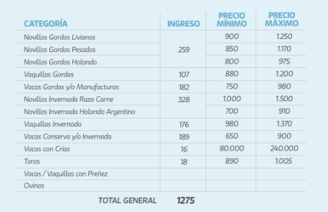 Plaza firme en el remate de La Ganadera en Ramírez