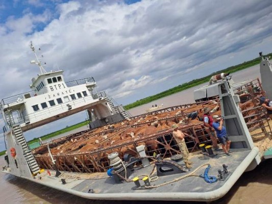 La Sociedad Rural Gualeguay resaltó el trabajo realizado para sacar la hacienda de las islas